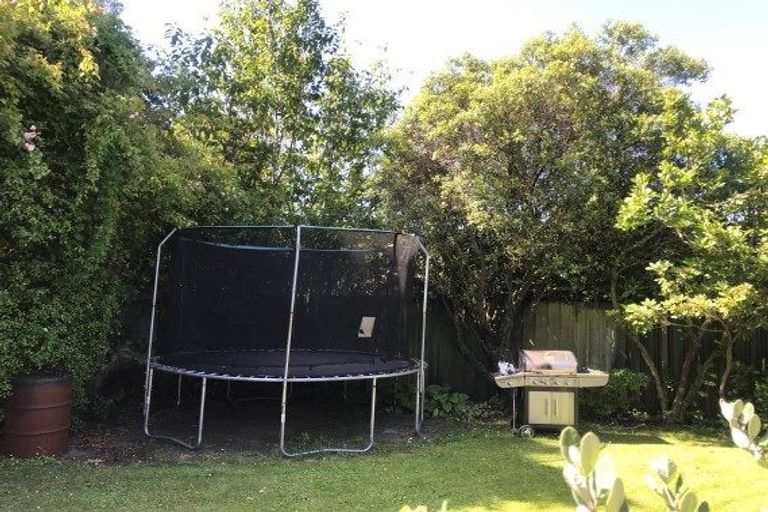 Photo of property in 36 Hamilton Avenue, Ilam, Christchurch, 8041