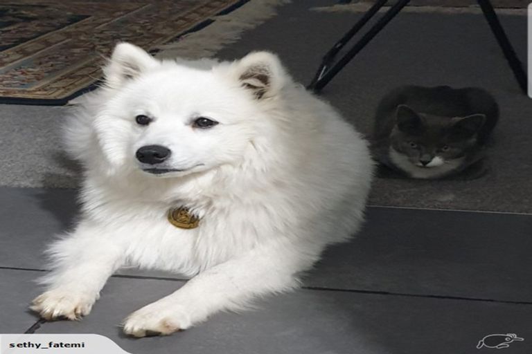 Photo of property in 3 Alpha Avenue, Coastlands, Whakatane, 3120