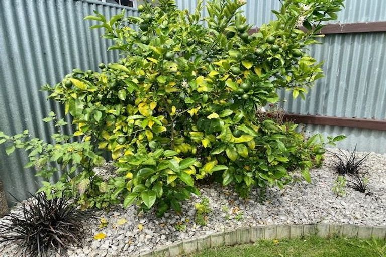 Photo of property in 165 Tait Drive, Greenmeadows, Napier, 4112