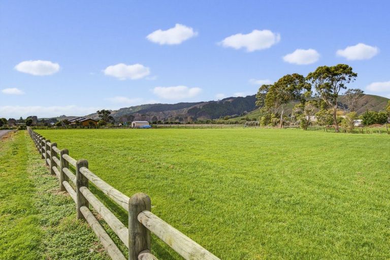 Photo of property in 425 Tararua Road, Levin, 5571