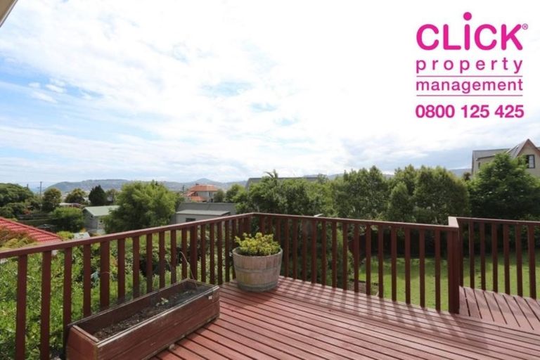 Photo of property in 141 Jeffery Street, Andersons Bay, Dunedin, 9013
