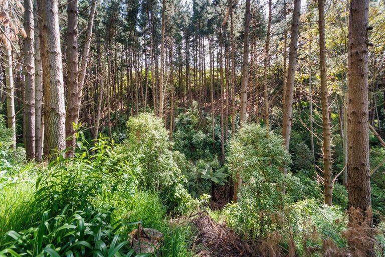 Photo of property in 296 Aokautere Drive, Aokautere, Palmerston North, 4471