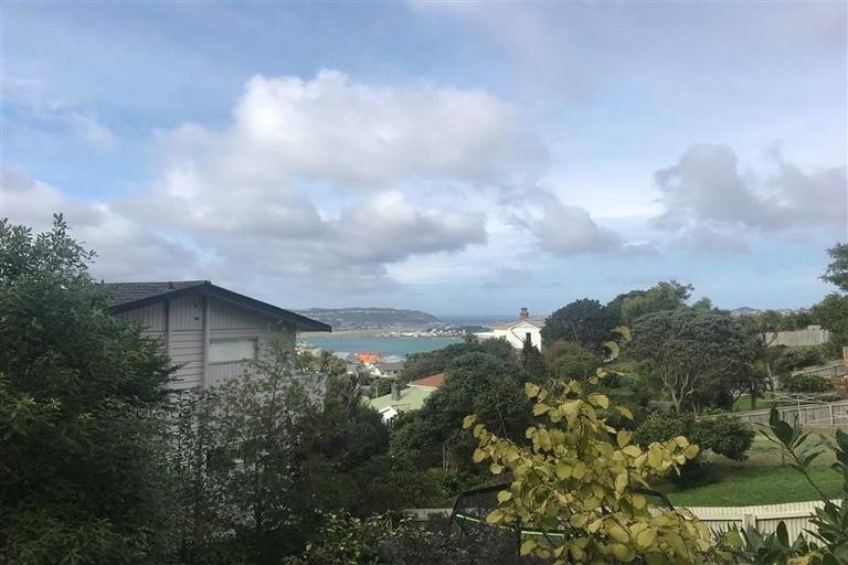 Photo of property in 17a Rakau Road, Hataitai, Wellington, 6021