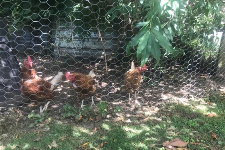 Photo of property in 40 Canon Road, Tanners Point, Katikati, 3170