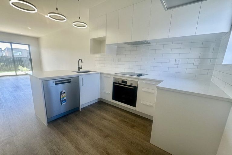 Photo of property in 49 Kiato Lane, Flat Bush, Auckland, 2019