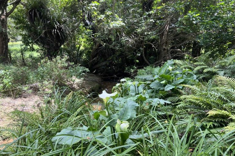 Photo of property in 568 Brown Road, Mangawhai, Kaiwaka, 0573