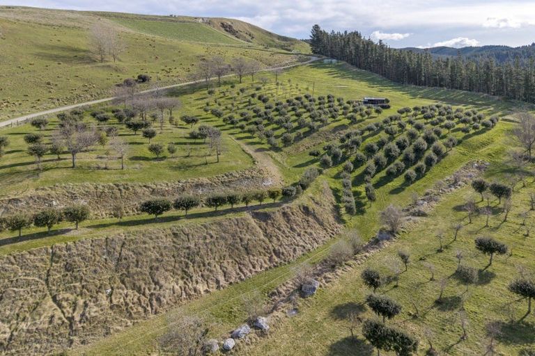 Photo of property in 101 Laidmore Road, Broomfield, 7482