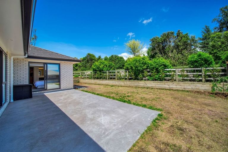 Photo of property in 389c Frankley Road, Ferndale, New Plymouth, 4310