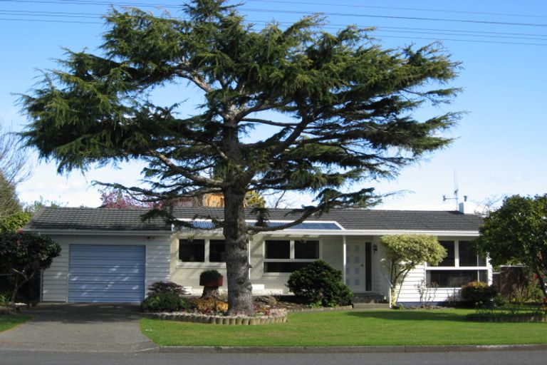 Photo of property in 56 Macarthur Street, Levin, 5510