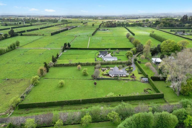 Photo of property in 41 Vaile Road, Newstead, Hamilton, 3286