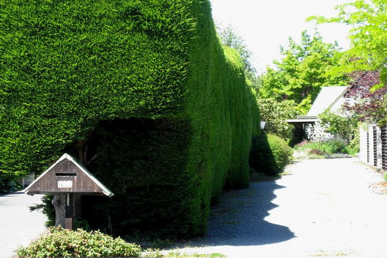 Photo of property in 54b Greers Road, Burnside, Christchurch, 8041