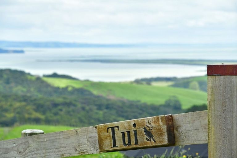 Photo of property in 113 West Road, Kaukapakapa, 0873