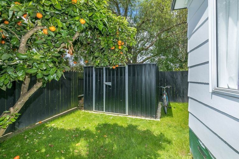 Photo of property in 392a Kahikatea Drive, Dinsdale, Hamilton, 3204