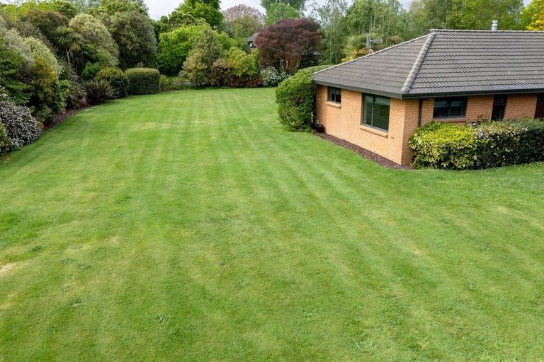 Photo of property in 42 Cowley Drive, Leamington, Cambridge, 3432