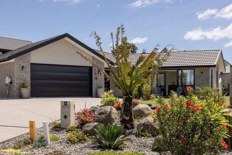 Photo of property in 12 Brendan Close, Omokoroa, 3114