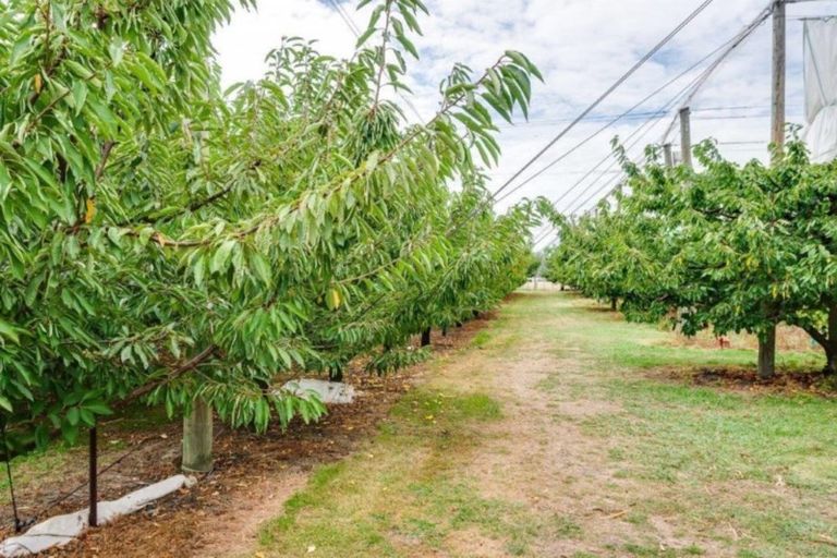 Photo of property in 200 Longlands Road, Longlands, Hastings, 4172