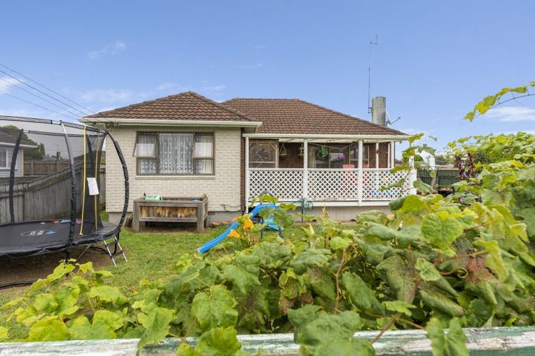 Photo of property in 12 Saint Annes Street, Levin, 5510