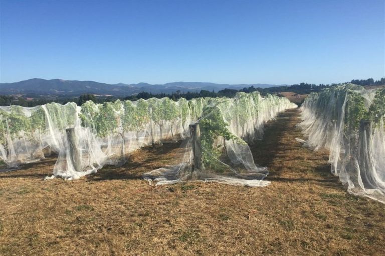 Photo of property in 66 Flett Road, Lower Moutere, Upper Moutere, 7175