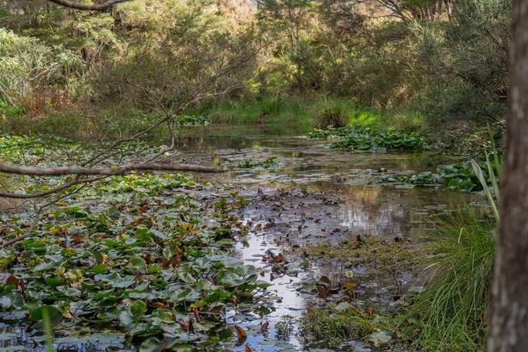 Photo of property in 425n Boat Harbour Road, Whenuakite, Whitianga, 3591