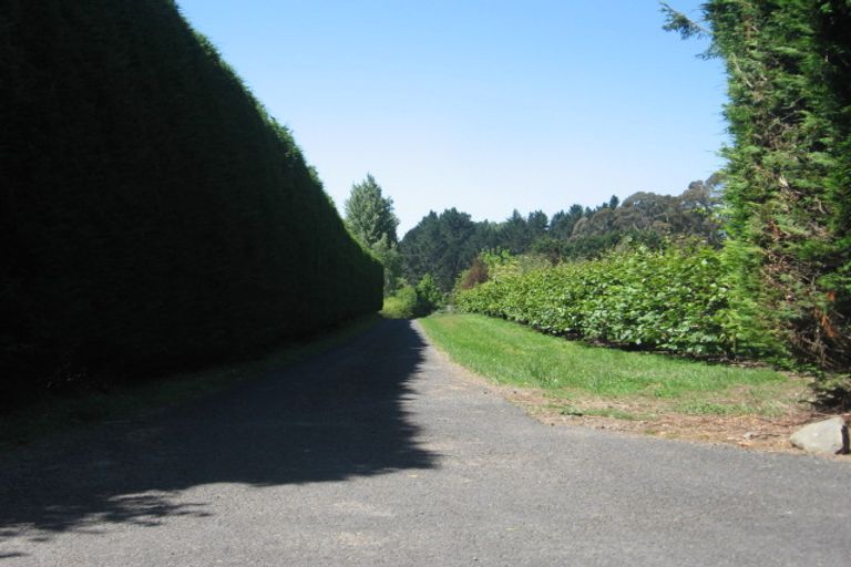 Photo of property in 42a Bruntwood Drive, Whakamarama, Tauranga, 3172