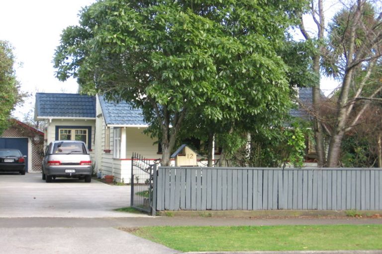 Photo of property in 12 Annandale Avenue, Takaro, Palmerston North, 4410