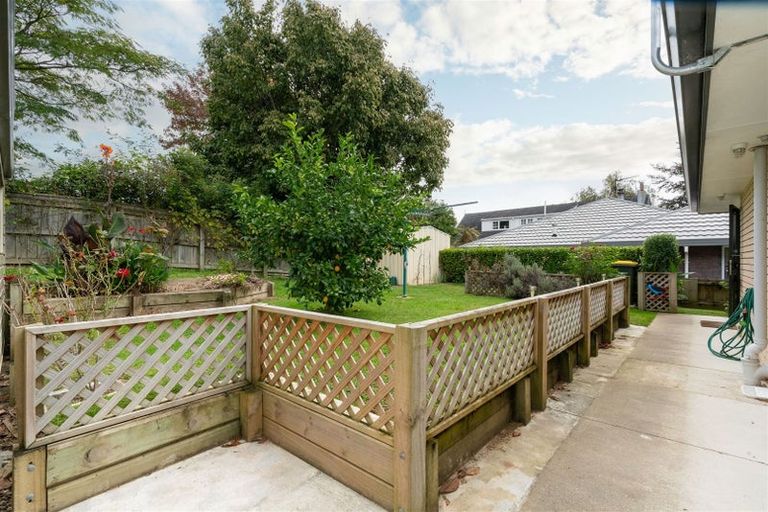 Photo of property in 38 Argyle Avenue, Levin, 5510