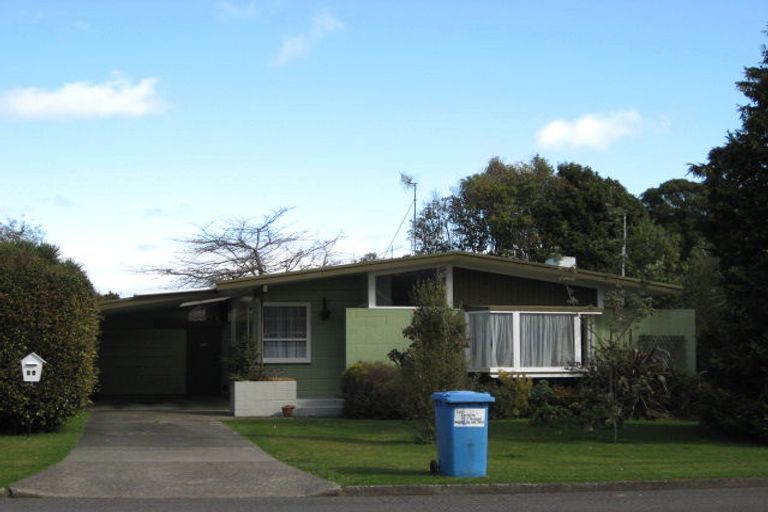Photo of property in 54 Macarthur Street, Levin, 5510