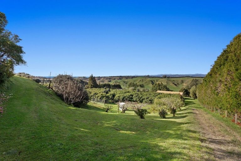 Photo of property in 333 Paerata Ridge Road, Waiotahe, Opotiki, 3198