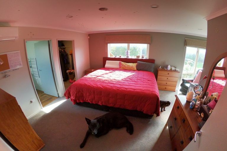 Photo of property in 43 Jasmine Place, Mount Maunganui, 3116