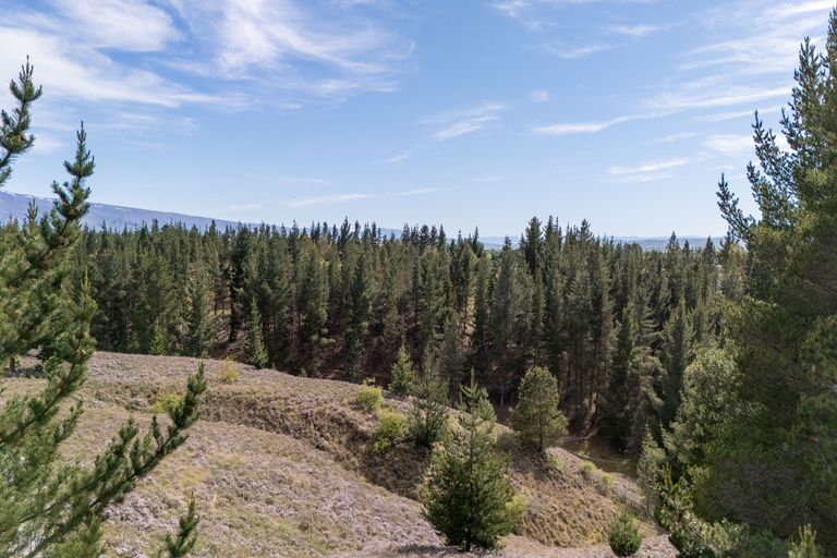 Photo of property in 92a Gilligans Gully Road, Alexandra, 9320