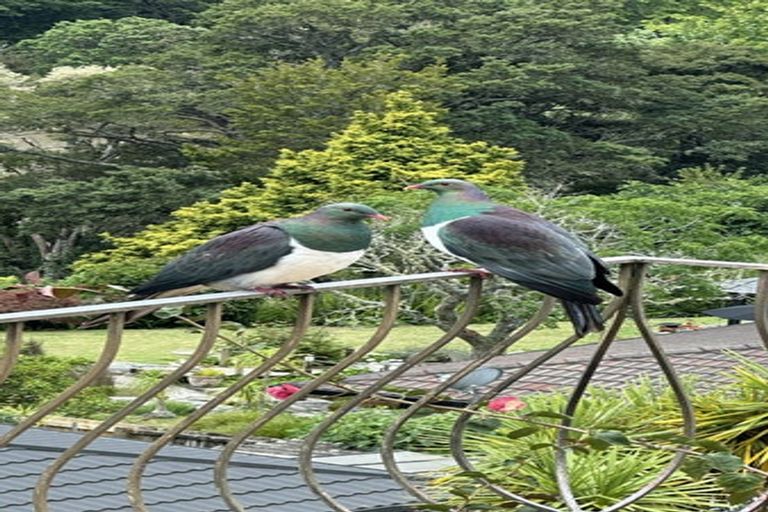 Photo of property in 19 Rivendell Place, Warkworth, 0910