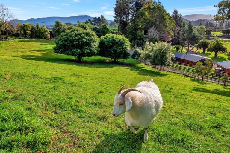 Photo of property in 399 Wainui Road South, Whakamarama, Katikati, 3181