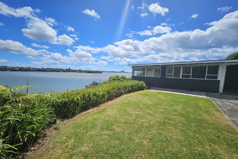 Photo of property in 52 Vine Avenue, Maungatapu, Tauranga, 3112