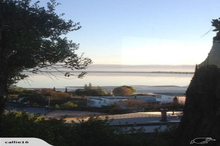 Photo of property in 19 Tresillian Avenue, Marybank, Nelson, 7010