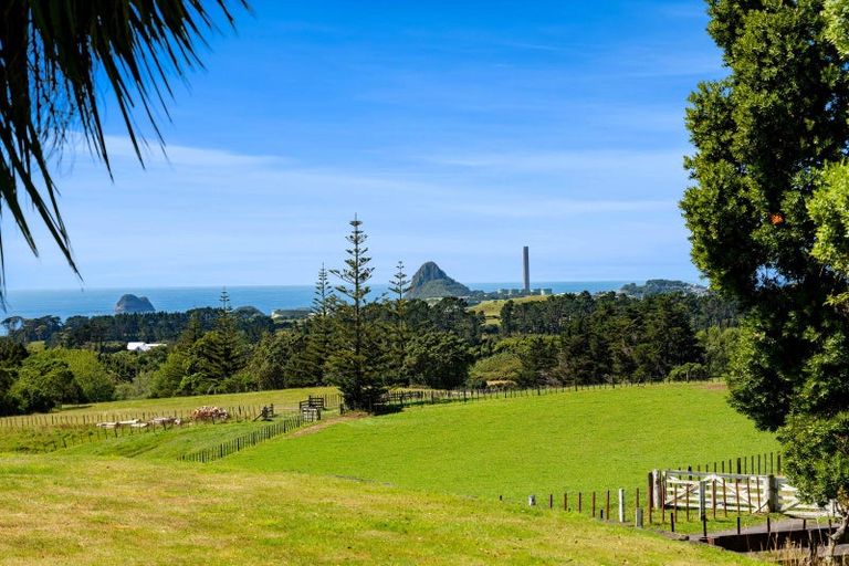 Photo of property in 568 South Road, Omata, New Plymouth, 4374