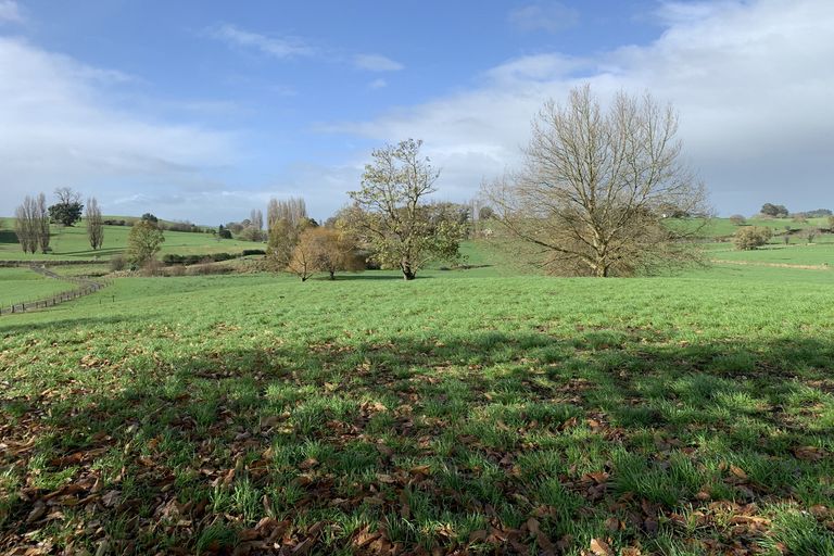 Photo of property in 352 Otorohanga Road, Tokanui, Te Awamutu, 3873