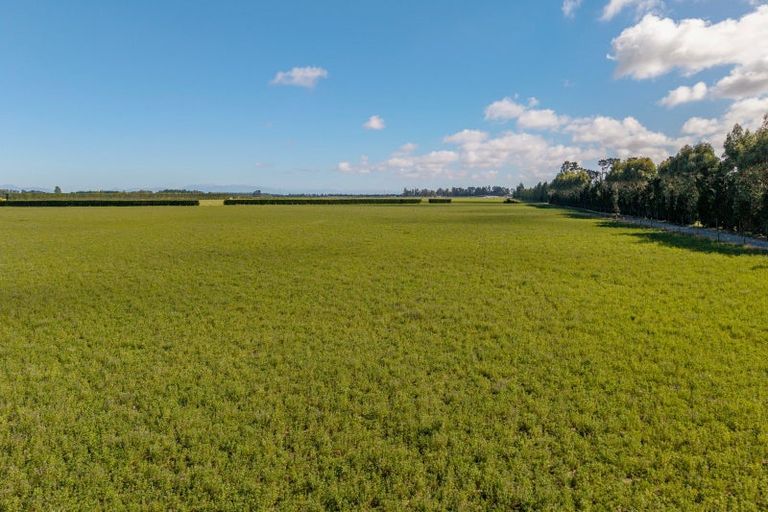 Photo of property in 638 Telegraph Road, Charing Cross, 7671