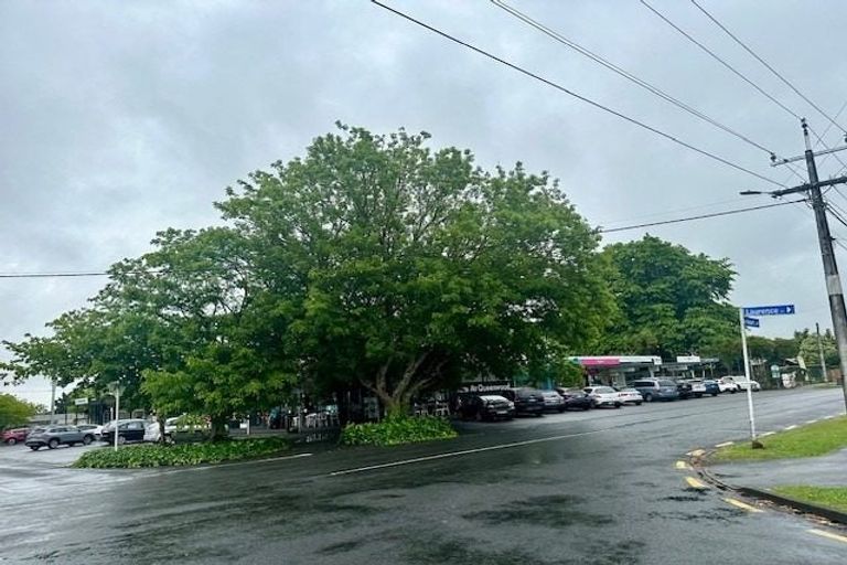 Photo of property in 2c Laurence Street, Queenwood, Hamilton, 3210