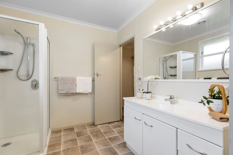 Photo of property in 19 Regent Street, Brookfield, Tauranga, 3110