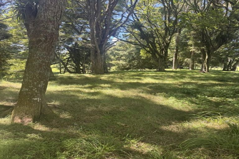 Photo of property in 643 Whangaripo Valley Road, Whangaripo, Wellsford, 0972