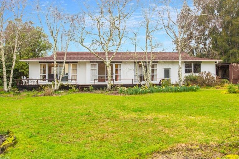 Photo of property in 43 Candia Road, Swanson, Auckland, 0614
