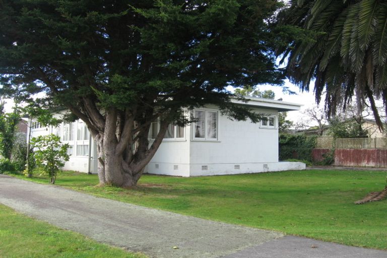 Photo of property in 217 Vogel Street, Roslyn, Palmerston North, 4414