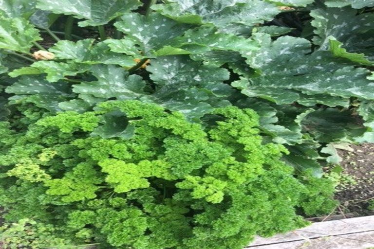 Photo of property in 57 Taupo Road, Taumarunui, 3920