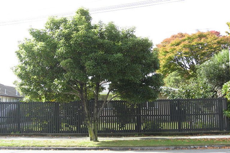 Photo of property in 256 Waimairi Road, Ilam, Christchurch, 8041