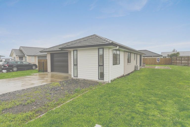 Photo of property in 68 Hinemoa Street, Levin, 5510