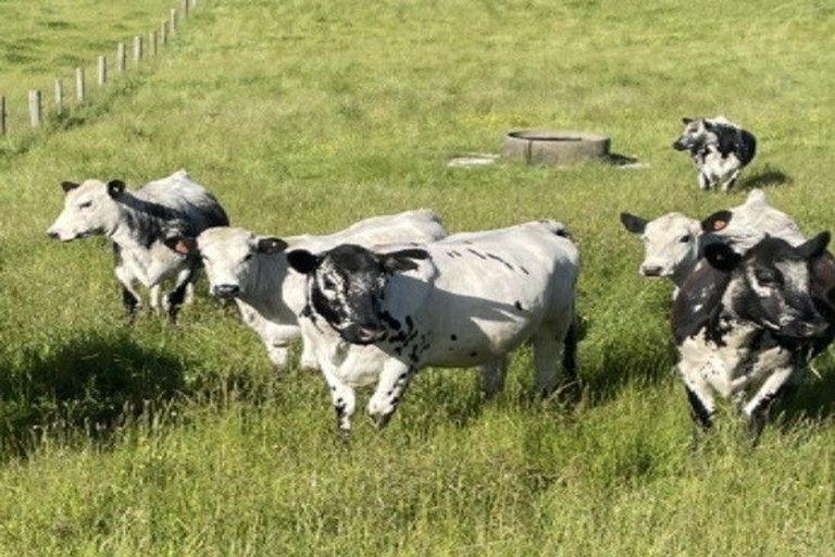 Photo of property in 3 Waiteitei Road, Wellsford, 0974