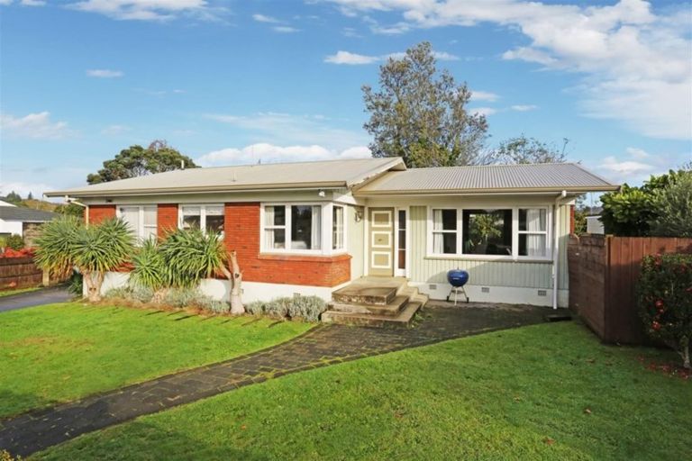 Photo of property in 20 Mason Avenue, Pukekohe, 2120