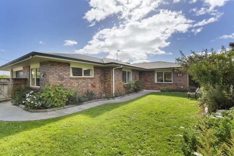 Photo of property in 38 Duke Street, Levin, 5510