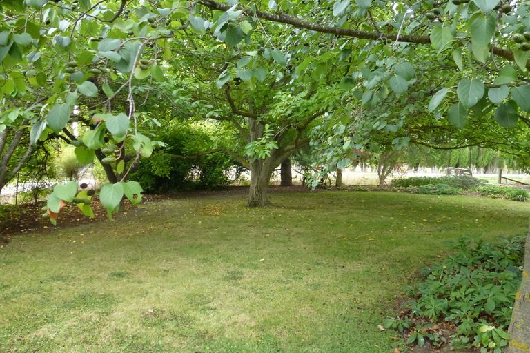 Photo of property in 43 Blackman Road, Blackmans, Alexandra, 9391