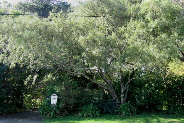 Photo of property in 103 Manuka Street, Stokes Valley, Lower Hutt, 5019